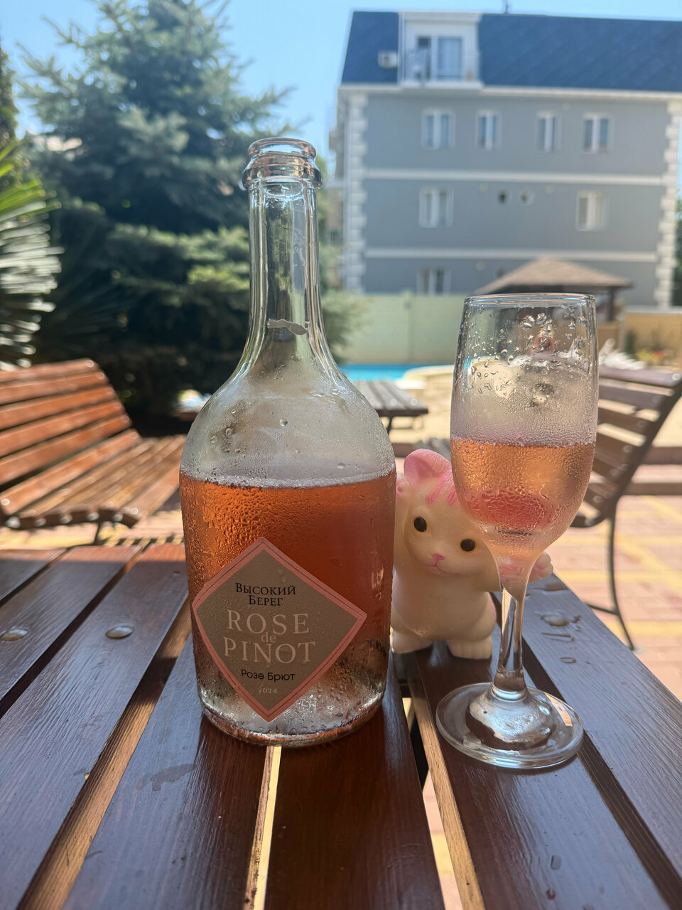 Гостиница Аврора Николаевка-51