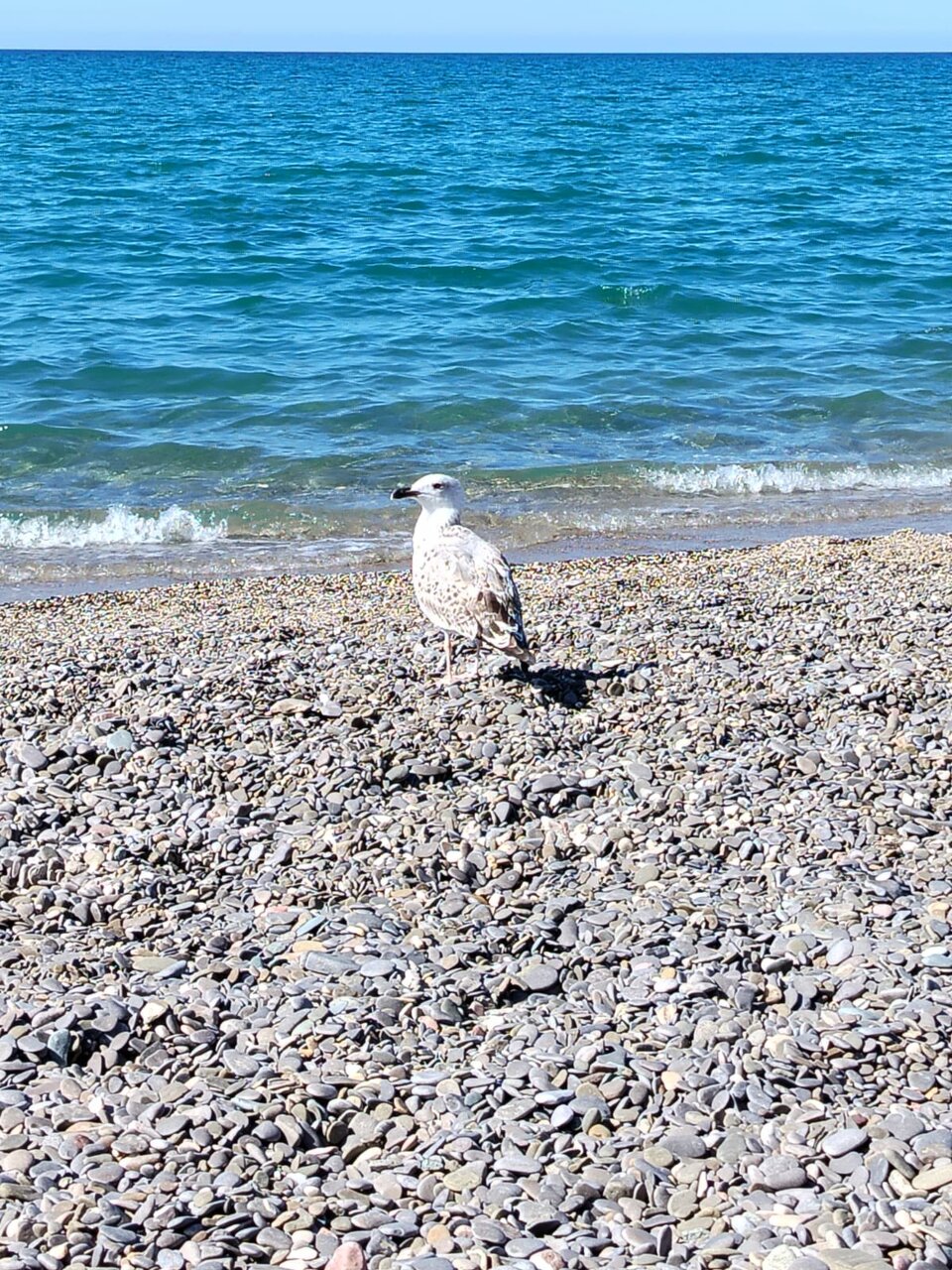 Гостиница Аврора Николаевка-59