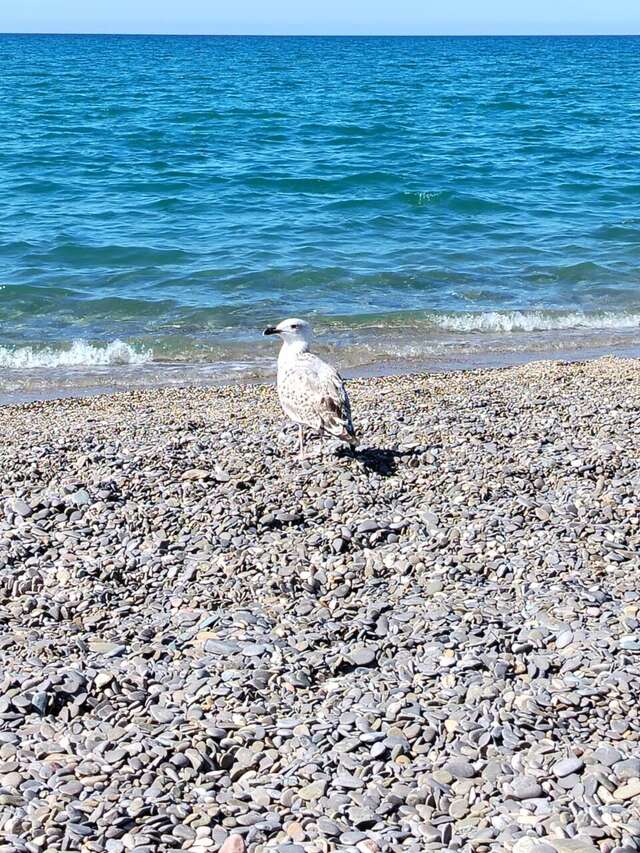 Гостиница Аврора Николаевка-58