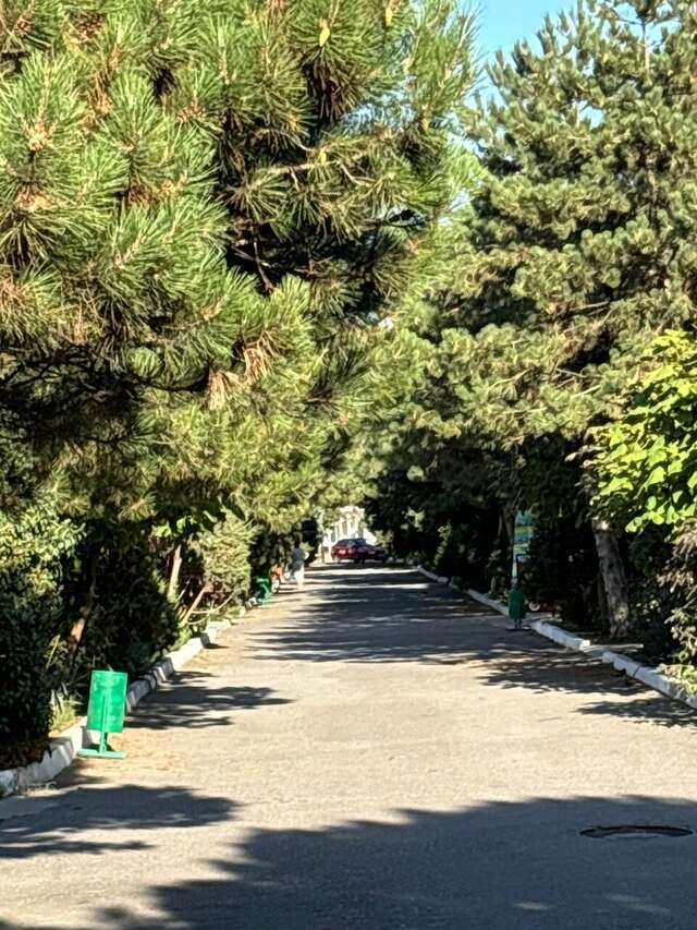 Гостиница Аврора Николаевка-45